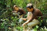 Como parte de las actividades que conmemoran los 90 a�os de la creaci�n de WELEDA en 1921, en Argentina la compa��a de cosm�tica natural y org�nica eligi� apoyar la iniciativa del Banco de Bosques para salvar los bosques nativos de la selva misionera que actualmente se encuentran bajo amenaza de ser vendidos a desmontadores. Adem�s, WELEDA y el Banco de Bosques se encuentran trabajando activamente en el proyecto CAA POR� para proteger al yaguar o yaguaret�, especie en extinci�n.